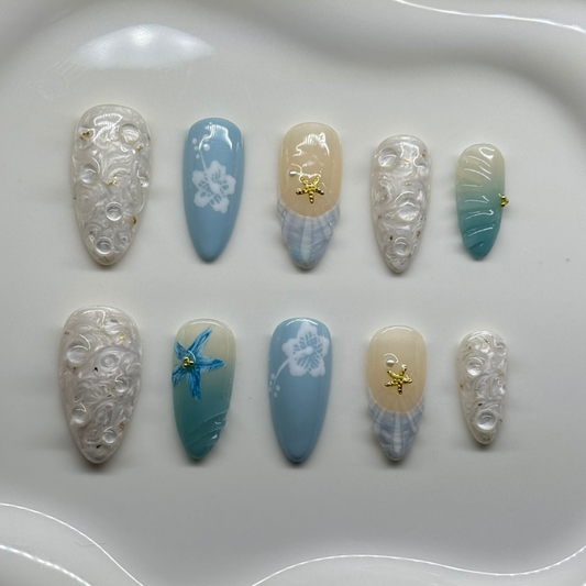 Seashell Beach